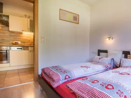 appartementen pfisterhof zell am ziller tirol (2)