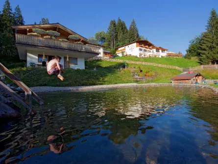 hotel berghof soll (7)