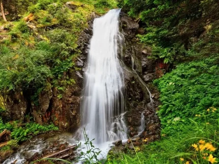 rondreis italie op maat trentino zuid tirol val di sole 3