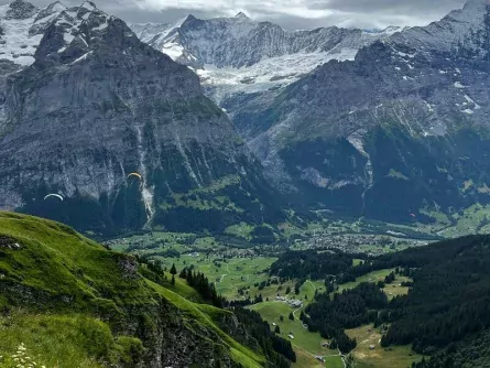 rondreis alpen op maat zwitserland jungfrauregion grindelwald
