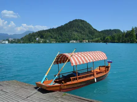rondreis slovenie op maat gorenjska lake bled roeiboot