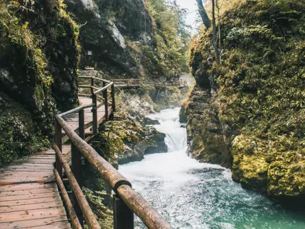 rondreis slovenie op maat gorenjska bled vingtar gorge 3