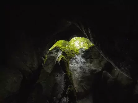 family active lofer avontuurlijke gezinsvakantie oostenrijk hike door een kloof  seisenbergklamm naturgewalten saalachtal 3