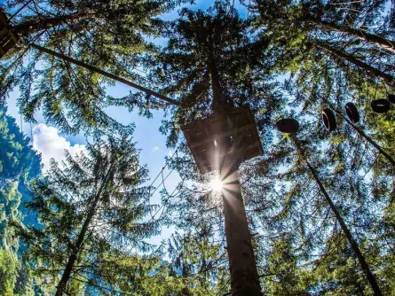 actieve vakantie avontuur family high ropes course outdoor active zillertal vakantie oostenrijk oostenrijkse alpen (1)