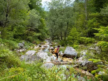 juliana trail etapa15 log pod mangartom cave del predil 19 (mitja sodja)