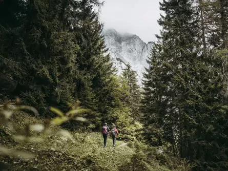 lynx trail meerdaagse wandeltocht oostenrijk oostenrijkse alpen etappe 5 in den gesaeusewaeldern