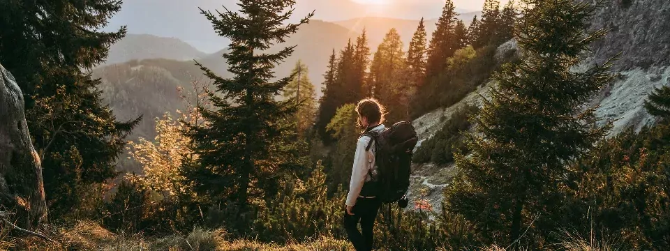 lynx trail meerdaagse wandeltocht oostenrijk oostenrijkse alpen etappe 4 abstieg nach admont (2)