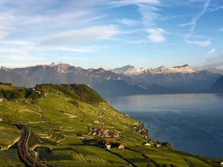 lavaux wijnbergterrassen meer van geneve waadt zwitserland my switzerland (1)