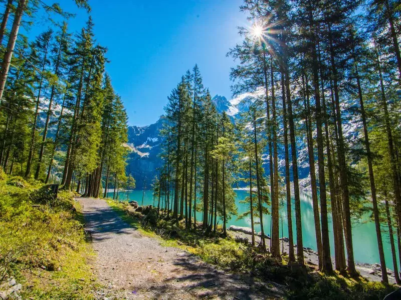 Zwitserland Back to Nature