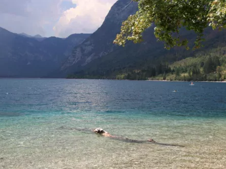 family active bled avontuurlijke gezinsvakantie slovenië zwemmen lake bohinj (tourismus bohinj) 1