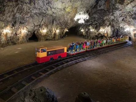 rondreis slovenië highlights julische alpen notranjskokraska postojna 3
