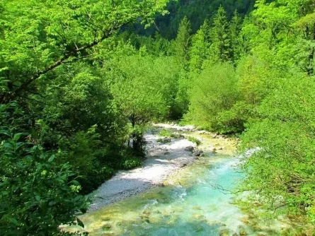 slovenie back to nature rondreis auto slovenie kamniska bistrica valley rivier