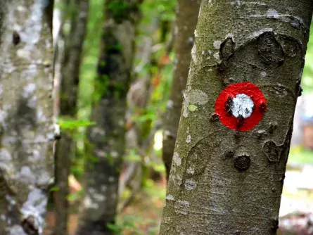 huttentocht julische alpen slovenie wandelen 5