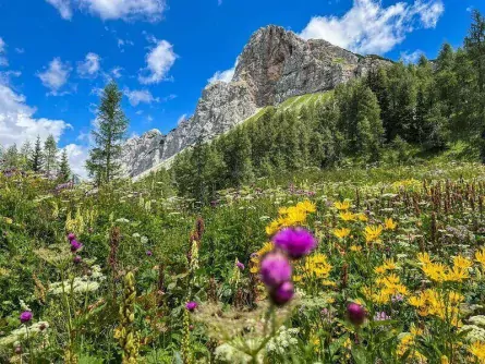 huttentocht triglav national park julische alpen slovenië gorenjska 6