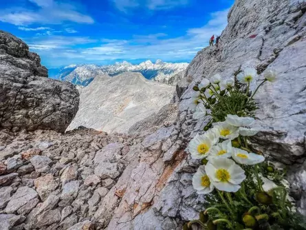 huttentocht triglav national park julische alpen slovenië gorenjska 4