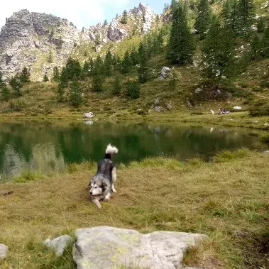 huttentocht valle maira met hond italië piedmont