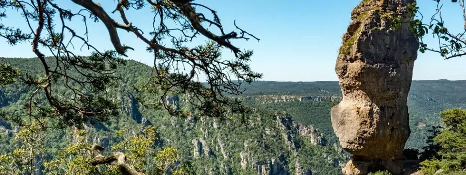 meerdaagse wandeltocht gorges du tarn frankrijk lozere aveyron gorges de la jonte 1 (1)