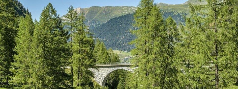 Huttentocht Kesch Trek Graubünden Zwitserland Albula_Railway