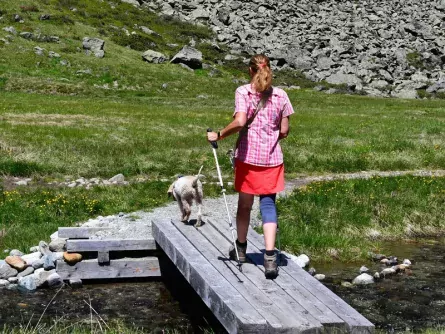 wandelvakantie stubaital met hond oostenrijk tirol 4