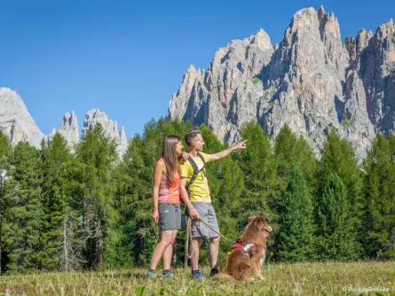 huttentocht val di fassa hond italie san giovanni patricia ramirez 1