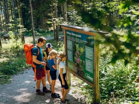 family active schladming oostenrijk stiermarken sattelberg 2