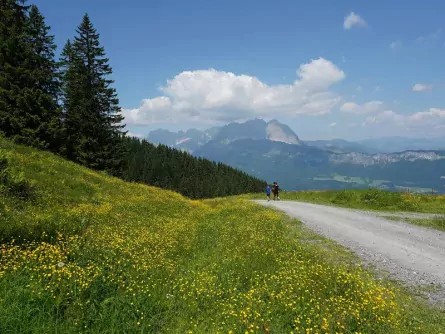 wandelvakantie wilder kaiser oostenrijk ellmau kaisergebirge 4