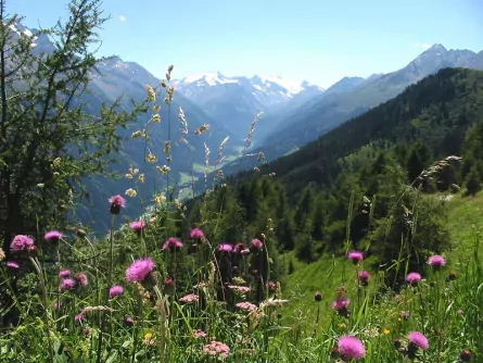 wandelvakantie stubaital oostenrijk oberbergtal 1