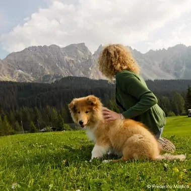 huttentocht val di fassa hond italie san giovanni