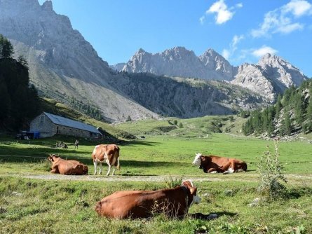 wandelvakantie valle maira tour roburent