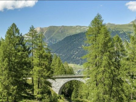 Huttentocht Kesch Trek Graubünden Zwitserland 1Albula_Railway
