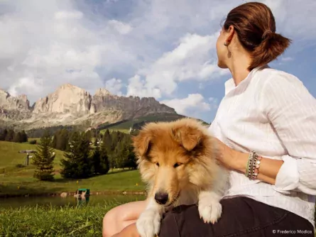 huttentocht val di fassa hond italie san giovanni federico modica