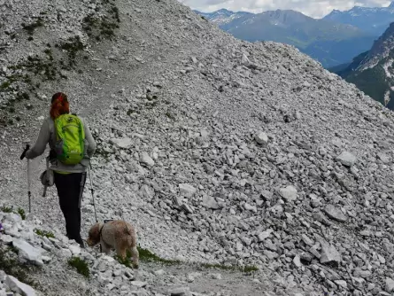 wandelvakantie stubaital met hond oostenrijk tirol 7