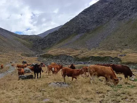 meerdaagse wandeltocht ecrins panorama trail frankrijk haute alpes oisans 4