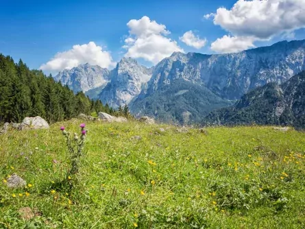 wandelvakantie wilder kaiser oostenrijk ellmau kaisergebirge 6