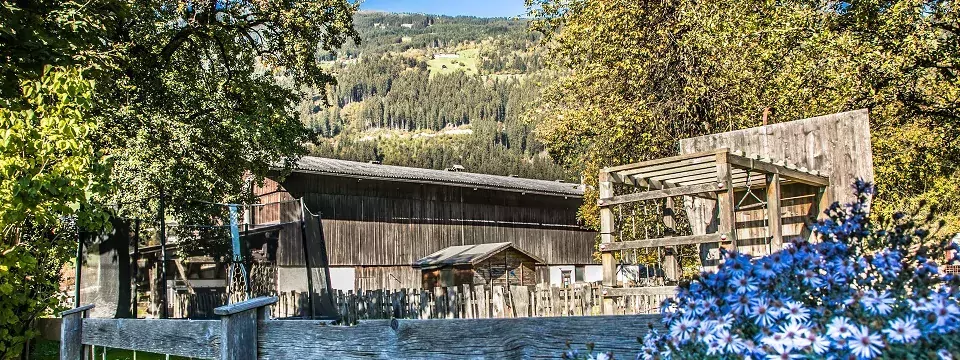 appartementen pfisterhof oostenrijk tirol zell am ziller buiten (1)