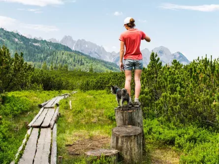 wandelvakantie dachstein met hond oostenrijk schladming 2
