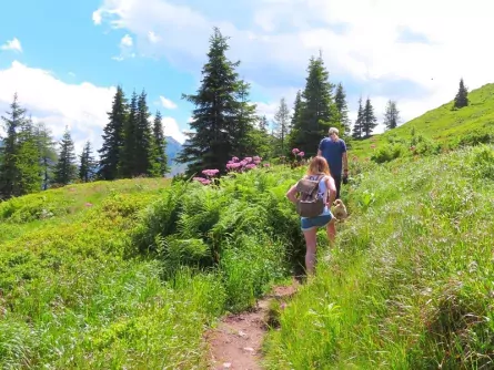 wandelvakantie dachstein met hond oostenrijk schladming 4