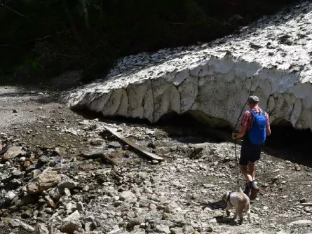 wandelvakantie stubaital met hond oostenrijk tirol 3