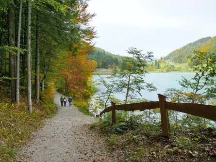 wandelvakantie wilder kaiser oostenrijk scheffau hintersteiner see 2