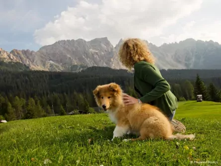 huttentocht val di fassa hond italie san giovanni federico modica 2