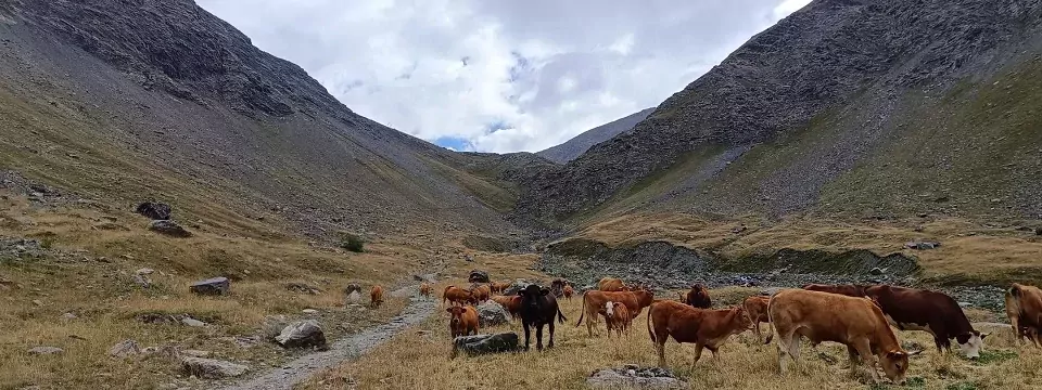 meerdaagse wandeltocht ecrins panorama trail frankrijk haute alpes oisans 4